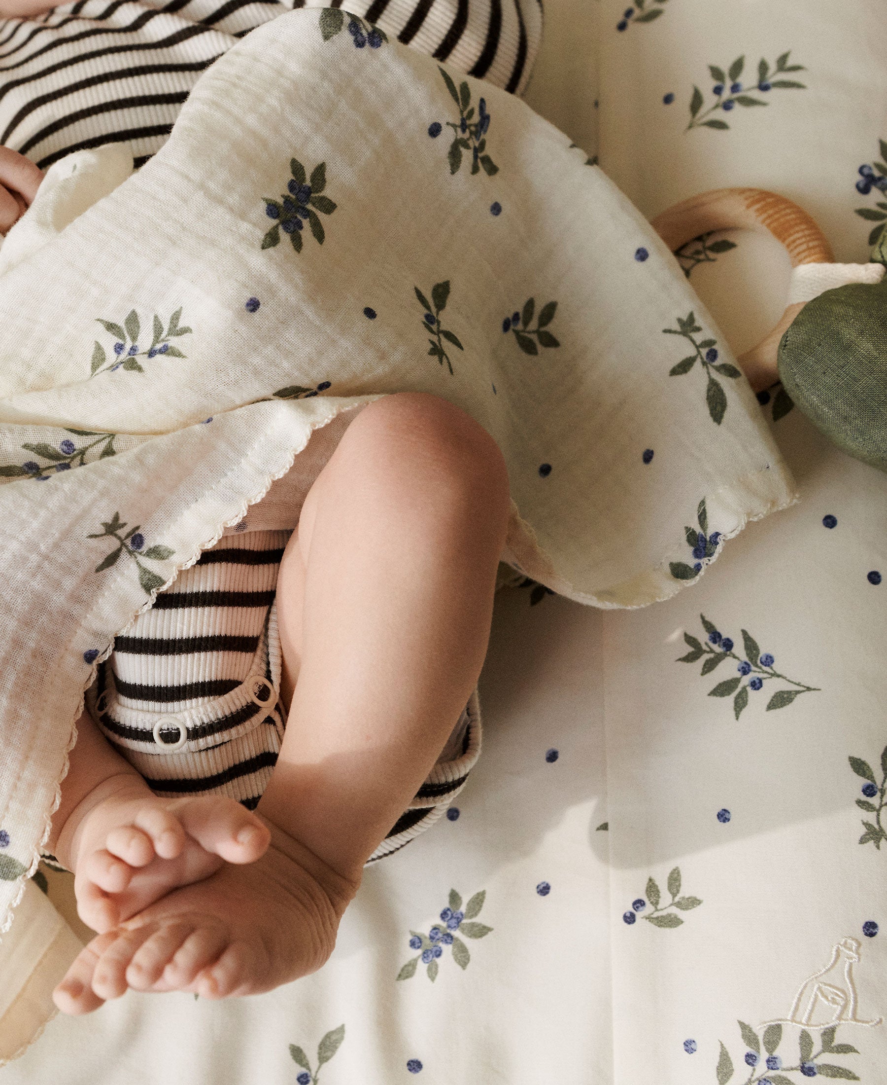 Mio Muslin Cloths, Blueberries